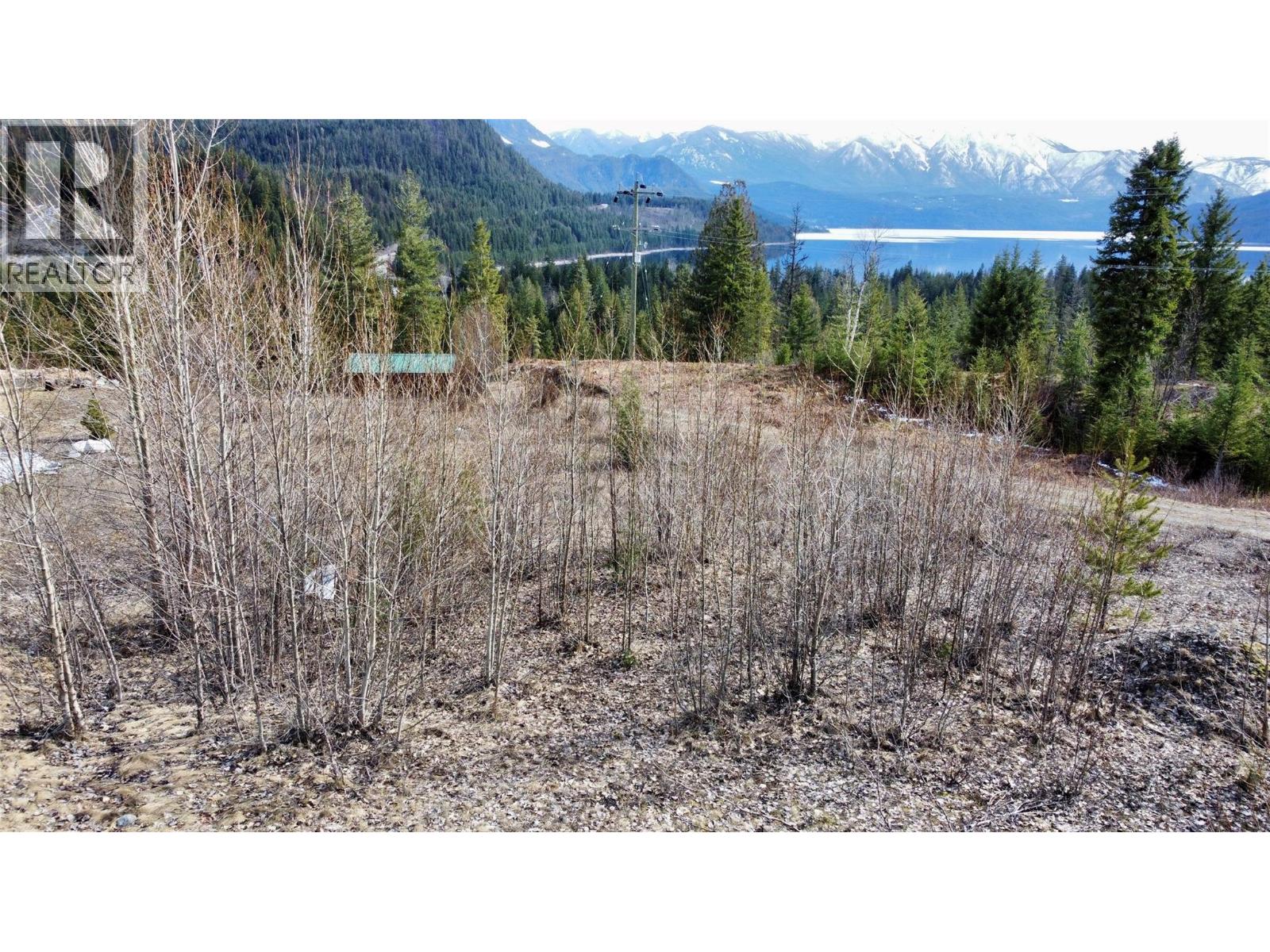 247 Fullmoon Road, Rosebery, British Columbia  V0G 1S1 - Photo 3 - 10379142