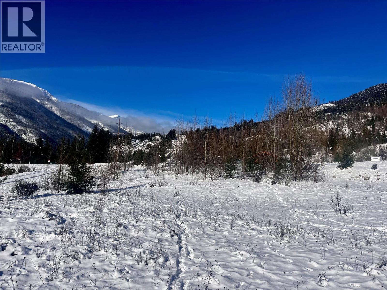 247 Fullmoon Road, Rosebery, British Columbia  V0G 1S1 - Photo 31 - 10379142
