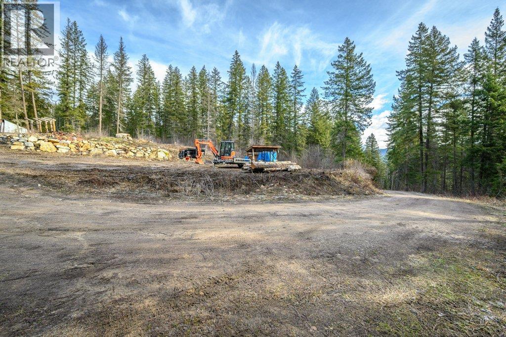 1665 Enderby Mabel Lake Road, Enderby, British Columbia  V0E 1V5 - Photo 33 - 10378918