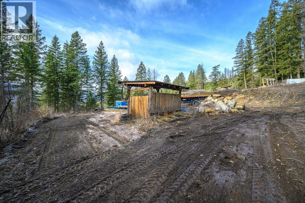 1665 Enderby Mabel Lake Road, Enderby, British Columbia  V0E 1V5 - Photo 38 - 10378918