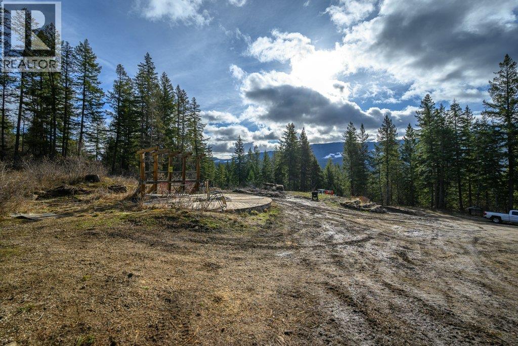 1665 Enderby Mabel Lake Road, Enderby, British Columbia  V0E 1V5 - Photo 43 - 10378918