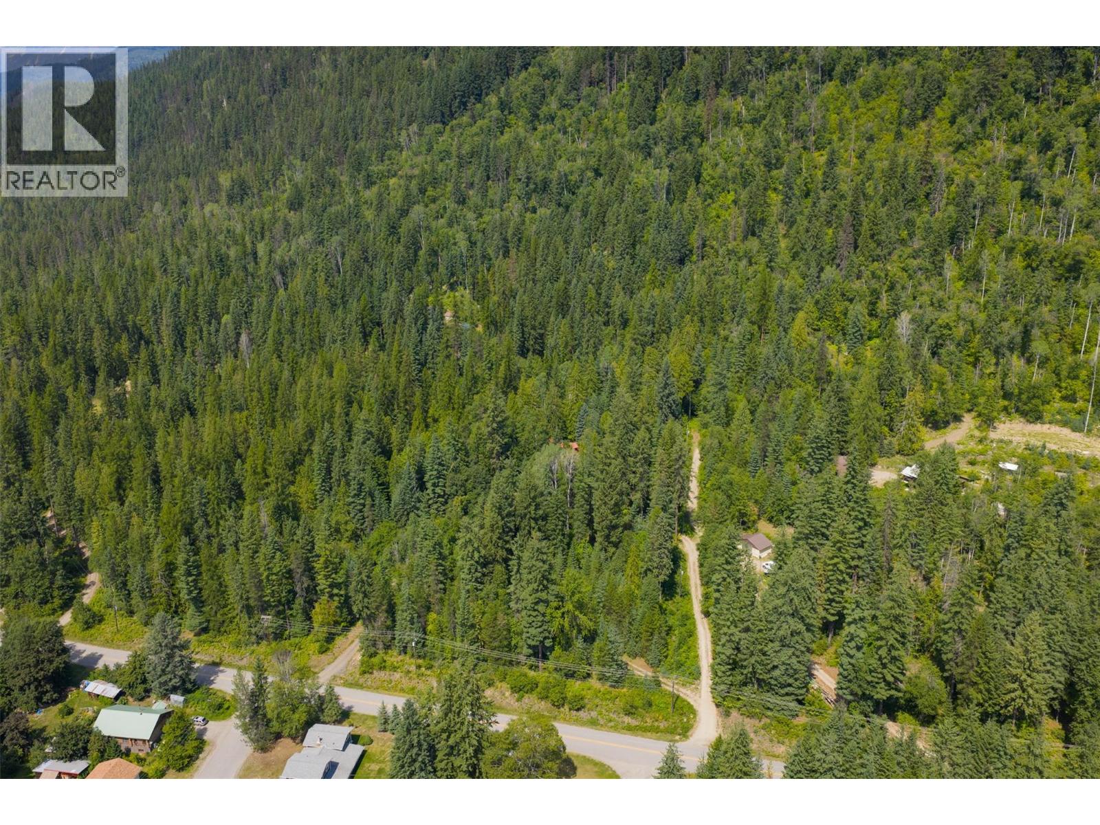 1506 Highway 31a, New Denver, British Columbia  V0G 1S0 - Photo 60 - 10378874