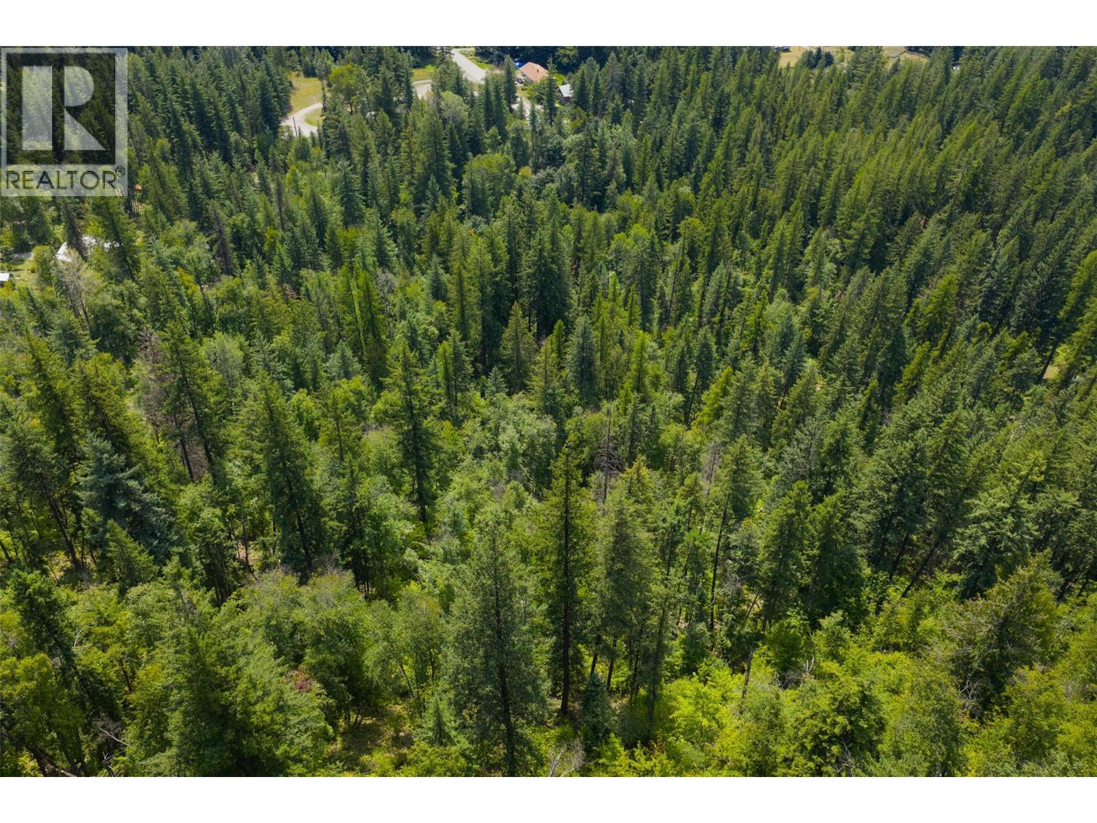 1506 Highway 31a, New Denver, British Columbia  V0G 1S0 - Photo 61 - 10378874
