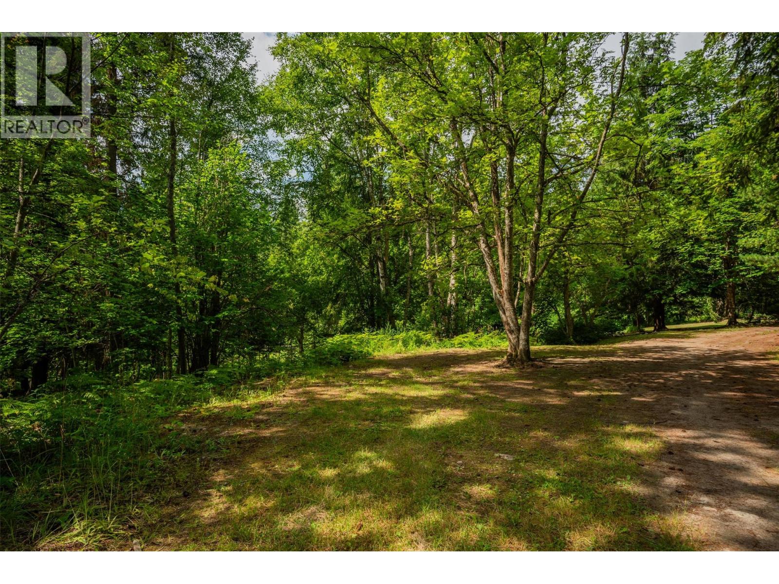 1506 Highway 31a, New Denver, British Columbia  V0G 1S0 - Photo 65 - 10378874