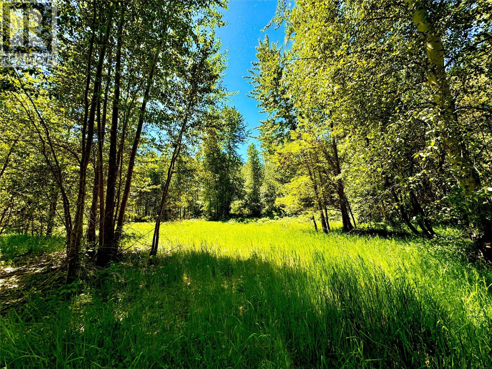 2700 14th Avenue, Castlegar, British Columbia  V1L 1Z1 - Photo 12 - 10379331