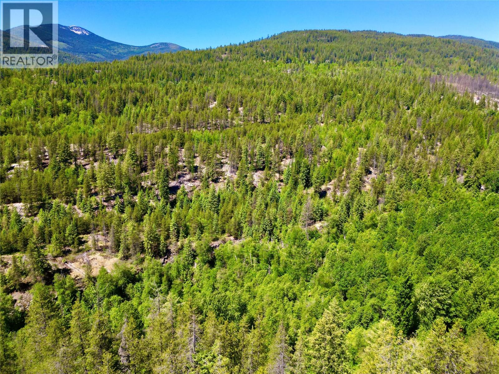 2700 14th Avenue, Castlegar, British Columbia  V1L 1Z1 - Photo 13 - 10379331