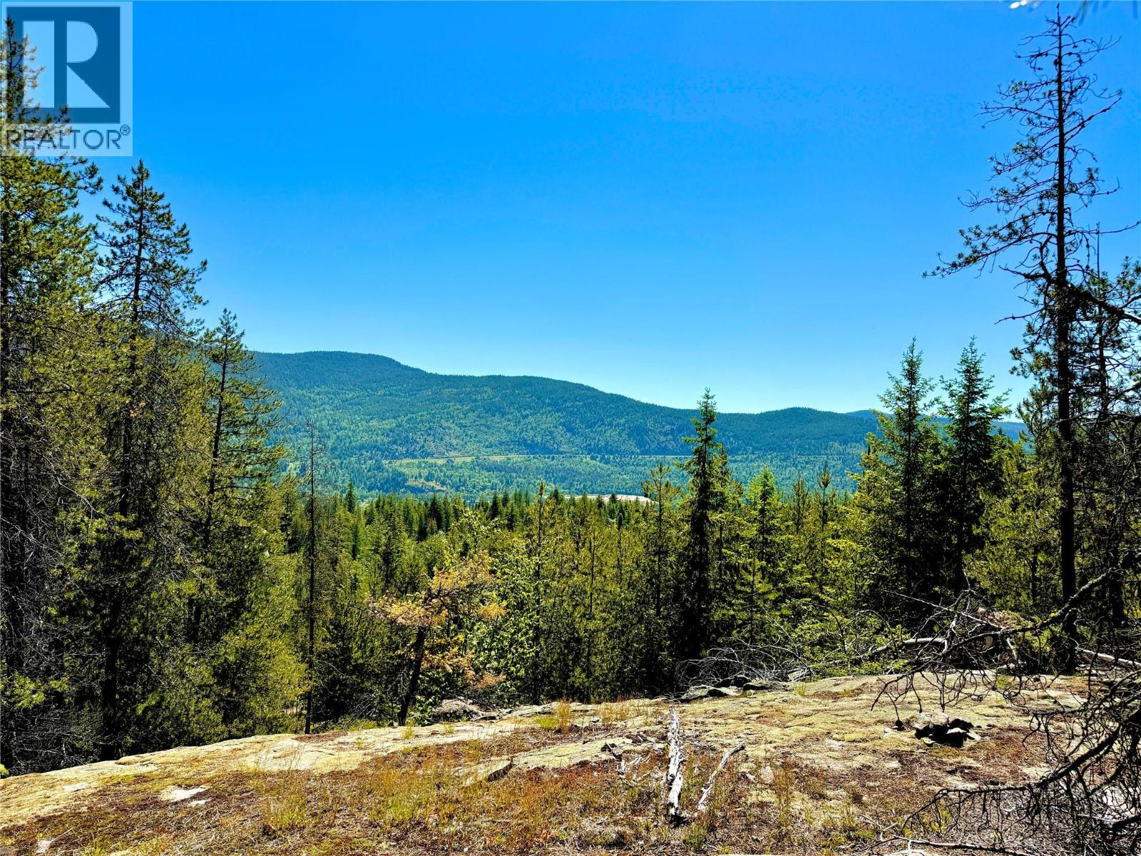 2700 14th Avenue, Castlegar, British Columbia  V1L 1Z1 - Photo 4 - 10379331