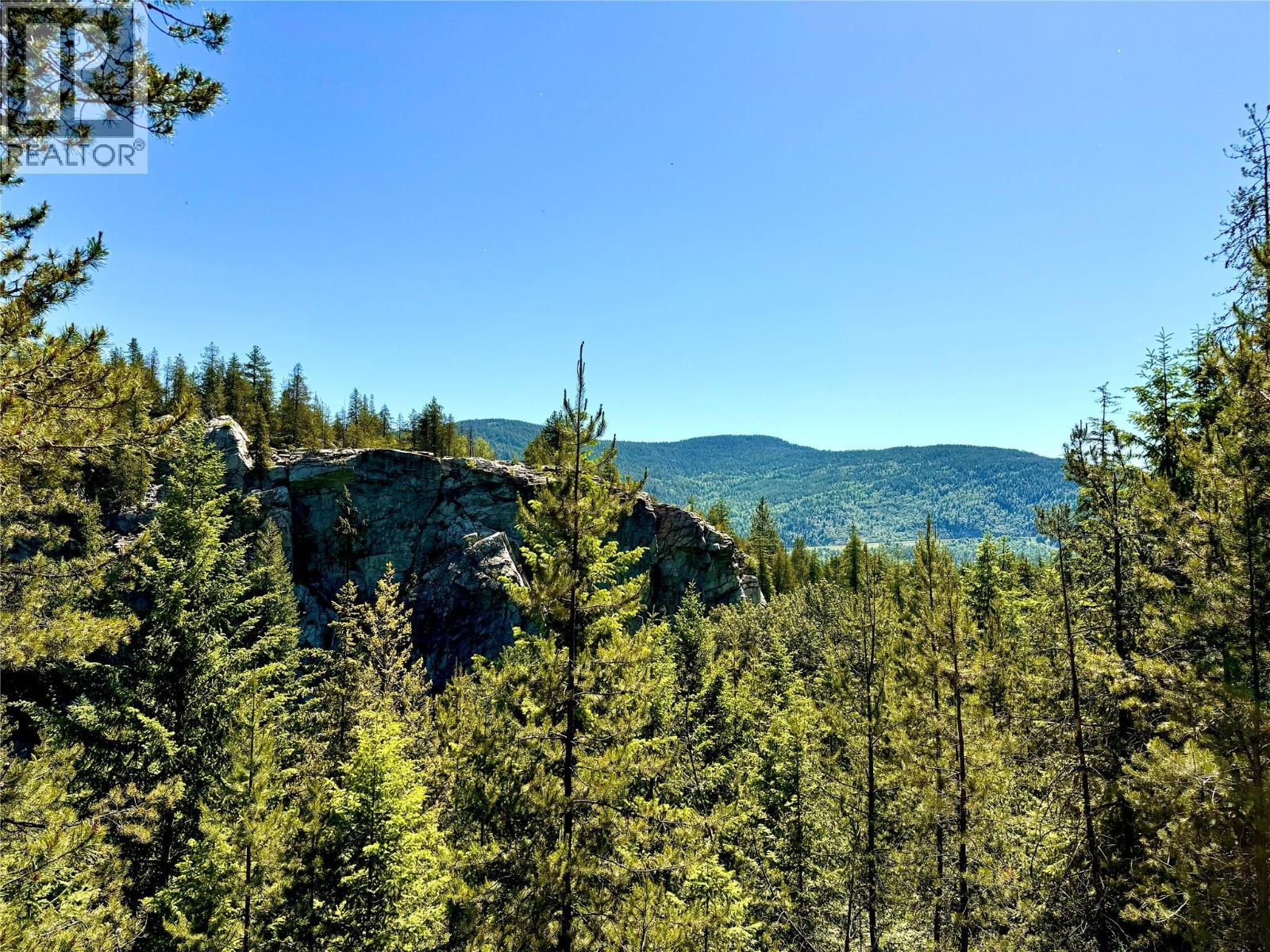 2700 14th Avenue, Castlegar, British Columbia  V1L 1Z1 - Photo 6 - 10379331