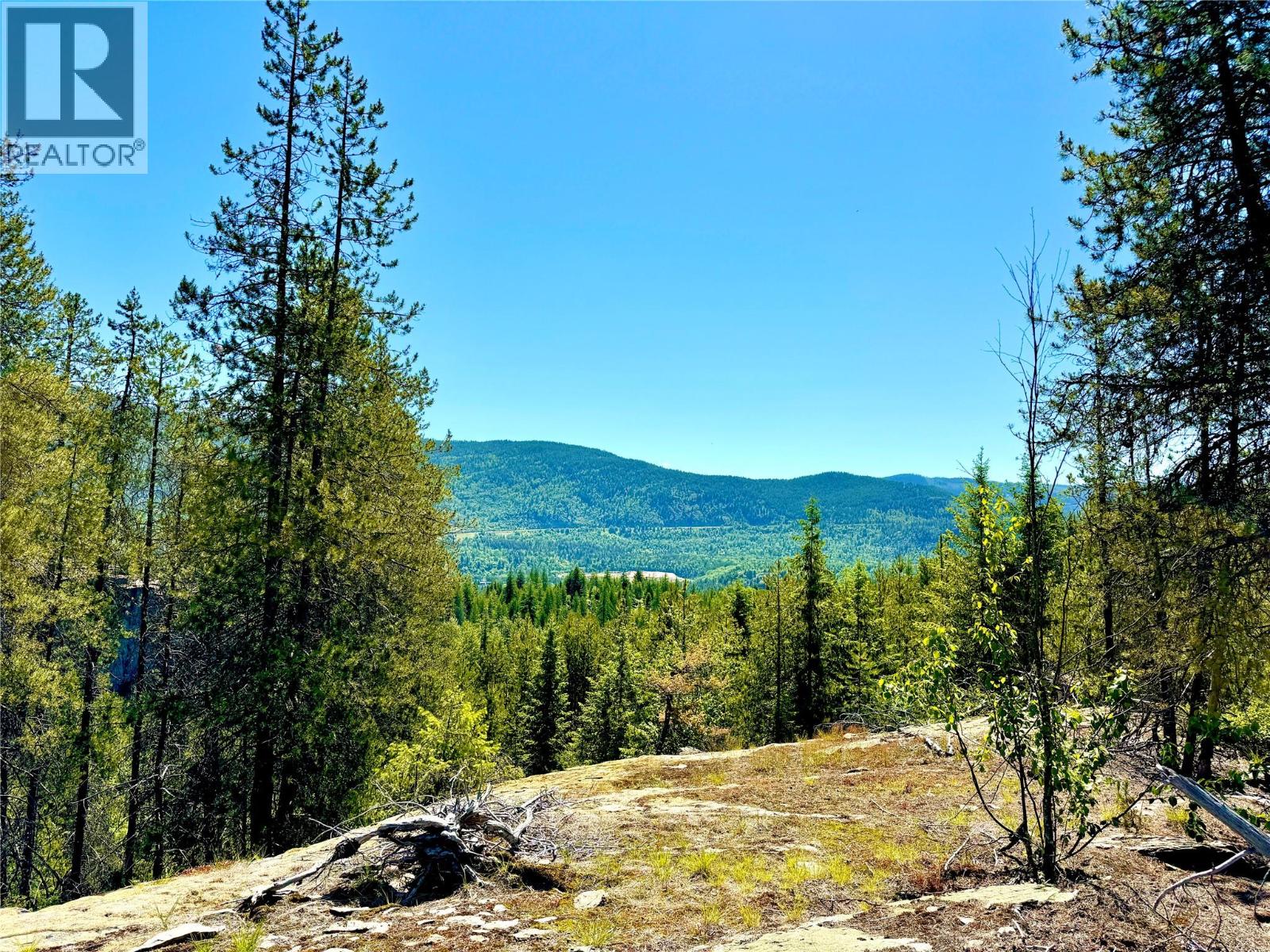 2700 14th Avenue, Castlegar, British Columbia  V1L 1Z1 - Photo 9 - 10379331