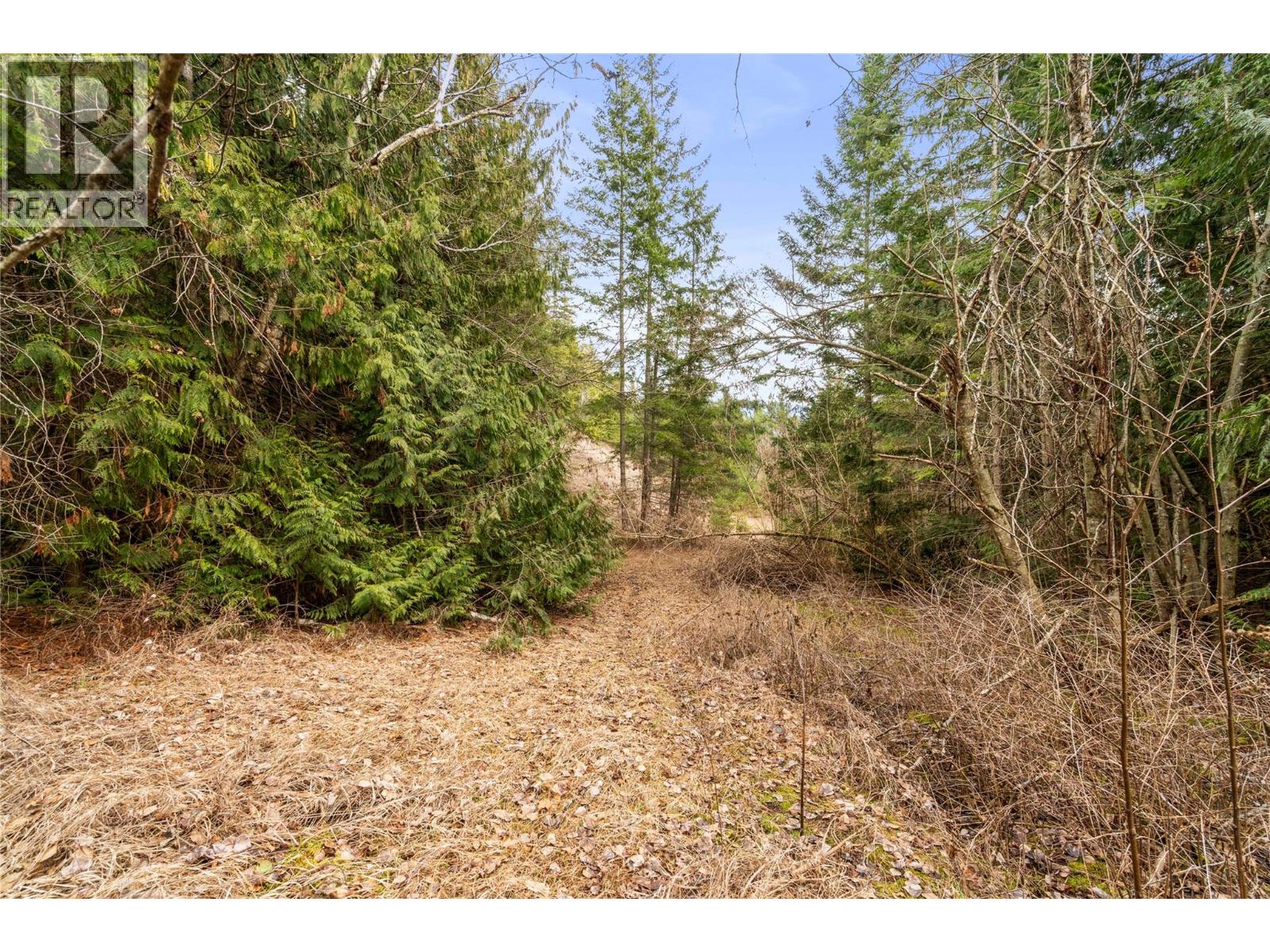 4841 5 Avenue Sw, Salmon Arm, British Columbia  V1E 2Y9 - Photo 31 - 10378744