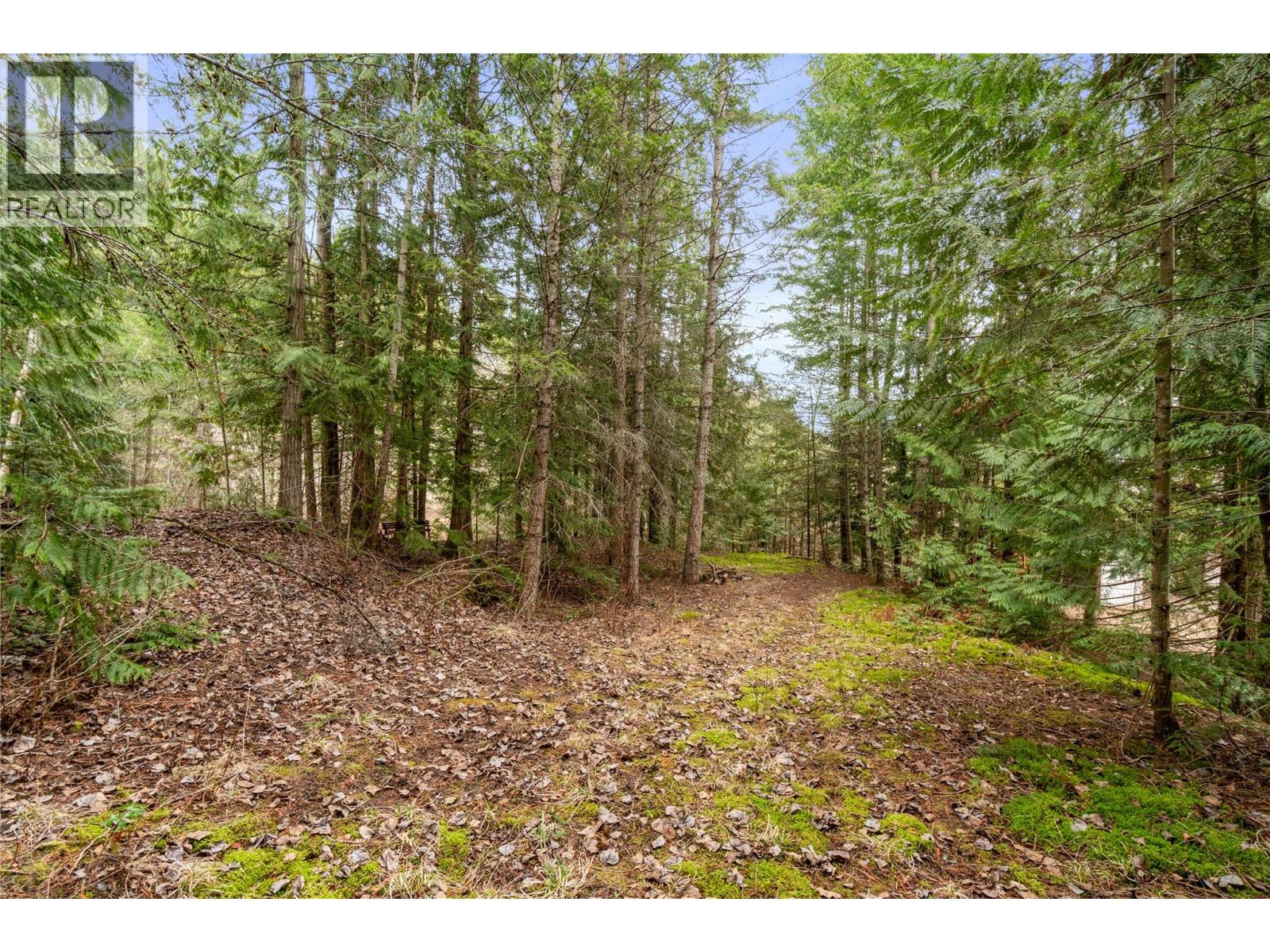 4841 5 Avenue Sw, Salmon Arm, British Columbia  V1E 2Y9 - Photo 32 - 10378744