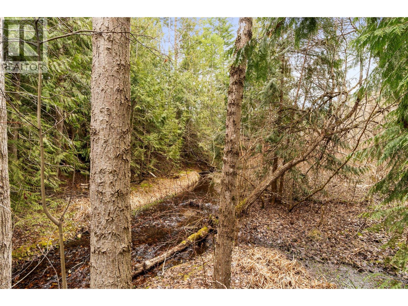 4841 5 Avenue Sw, Salmon Arm, British Columbia  V1E 2Y9 - Photo 38 - 10378744