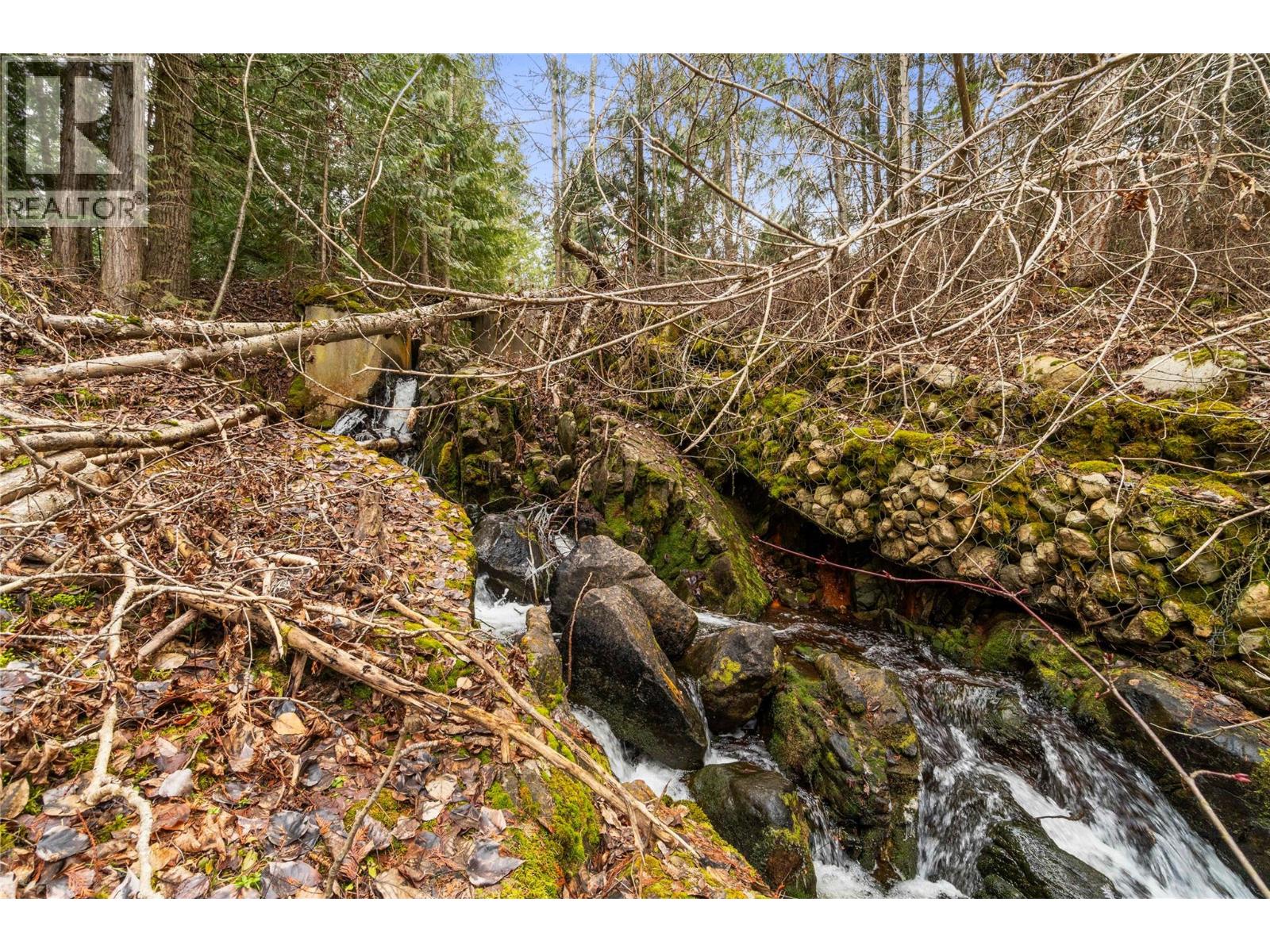 4841 5 Avenue Sw, Salmon Arm, British Columbia  V1E 2Y9 - Photo 39 - 10378744