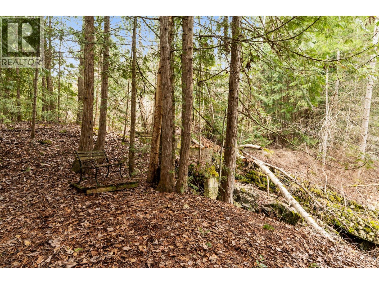 4841 5 Avenue Sw, Salmon Arm, British Columbia  V1E 2Y9 - Photo 6 - 10378744
