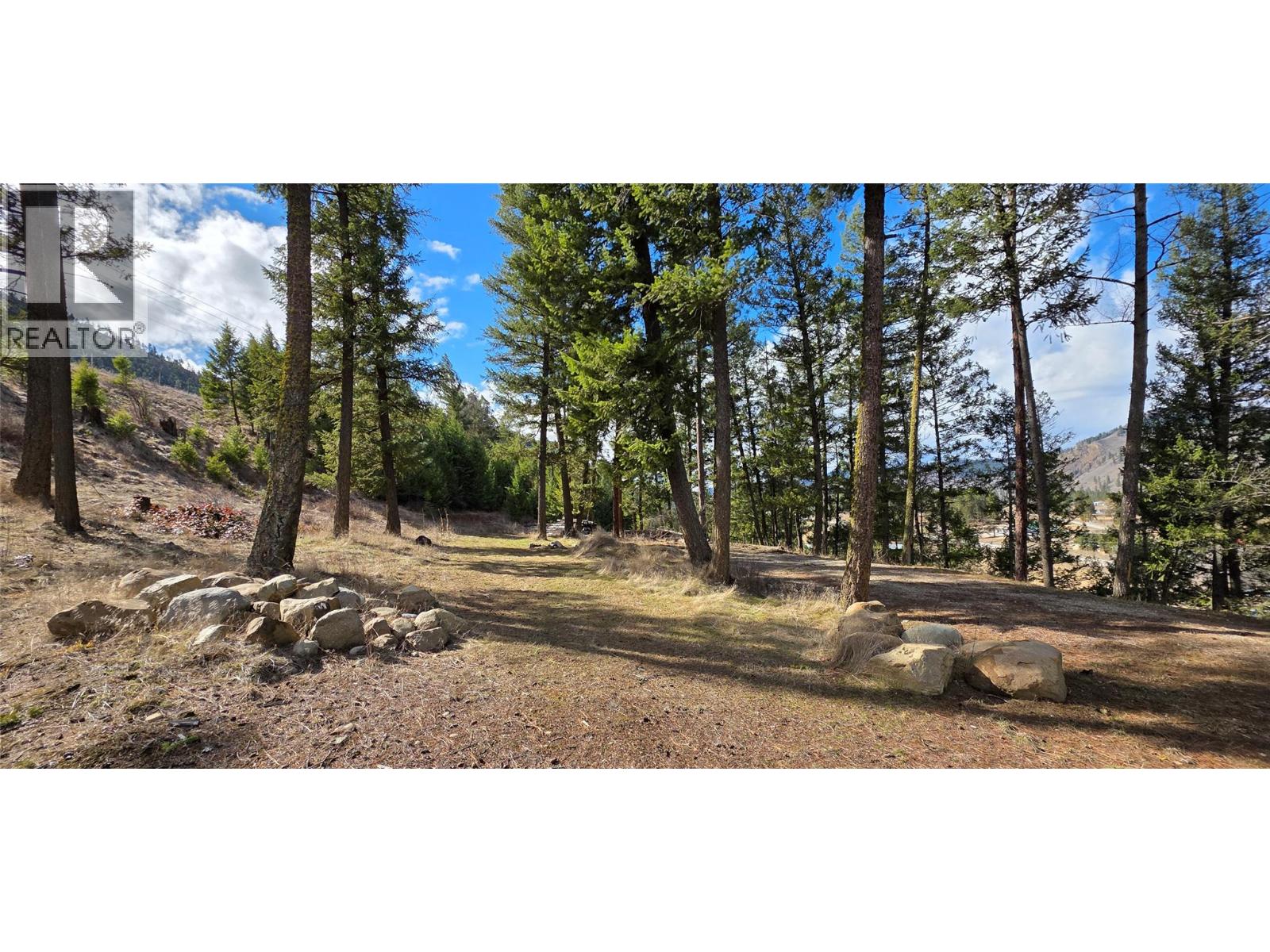 3400 Highway 3, Rock Creek, British Columbia  V0H 1Y0 - Photo 10 - 10379338