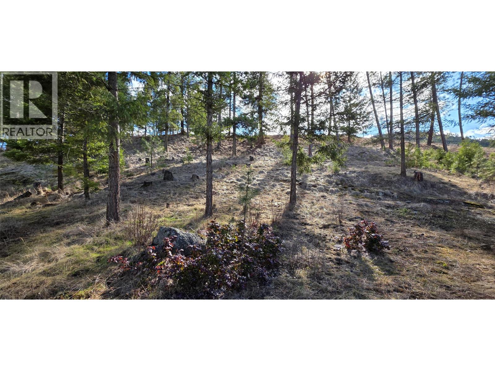 3400 Highway 3, Rock Creek, British Columbia  V0H 1Y0 - Photo 12 - 10379338