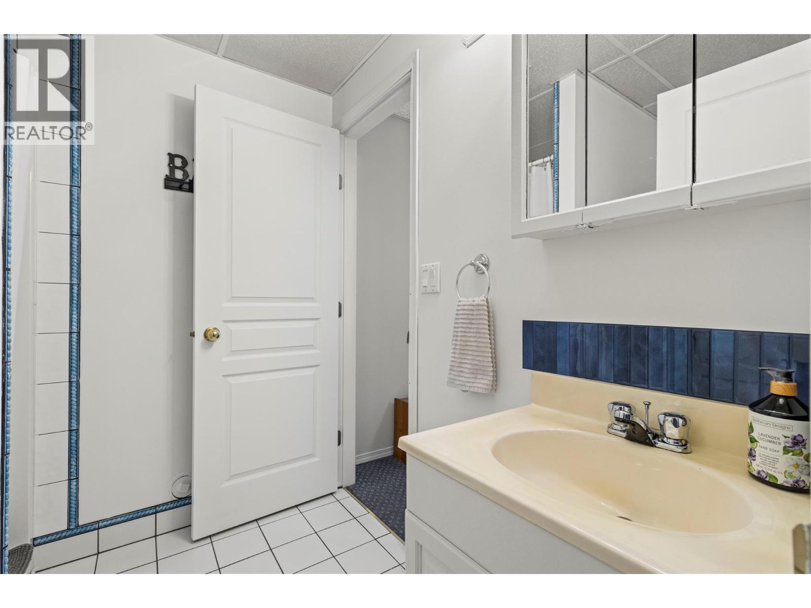 2500 4th Avenue Se, Salmon Arm, British Columbia  V1E 1K7 - Photo 54 - 10378531