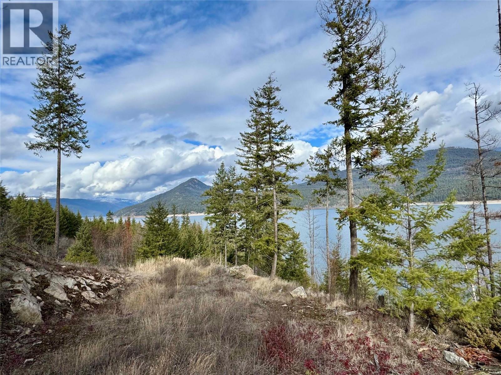 Lot 16 Osprey Point, Lower Arrow Lake, British Columbia  V1N 3H3 - Photo 4 - 10378625