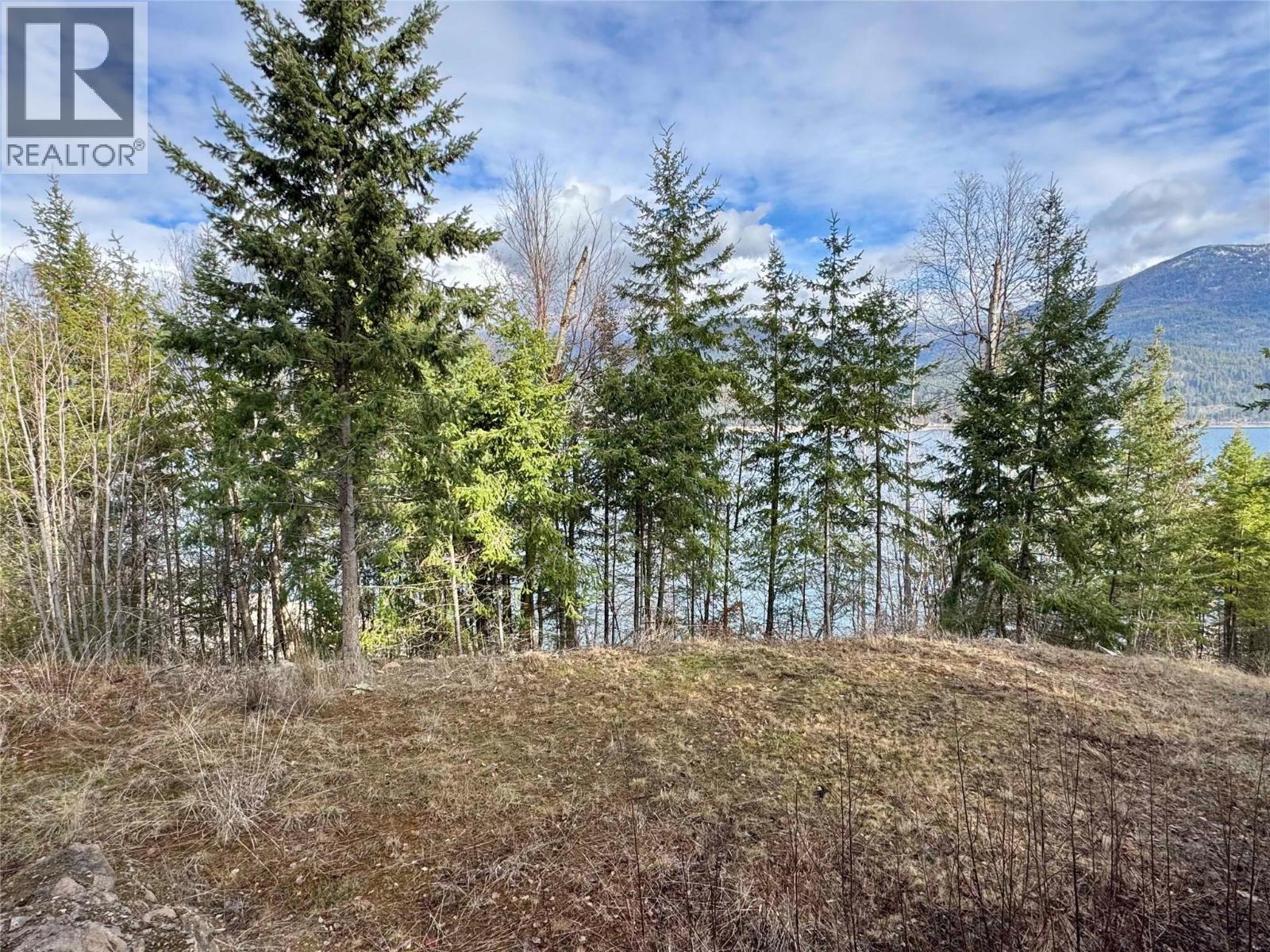 Lot 16 Osprey Point, Lower Arrow Lake, British Columbia  V1N 3H3 - Photo 6 - 10378625