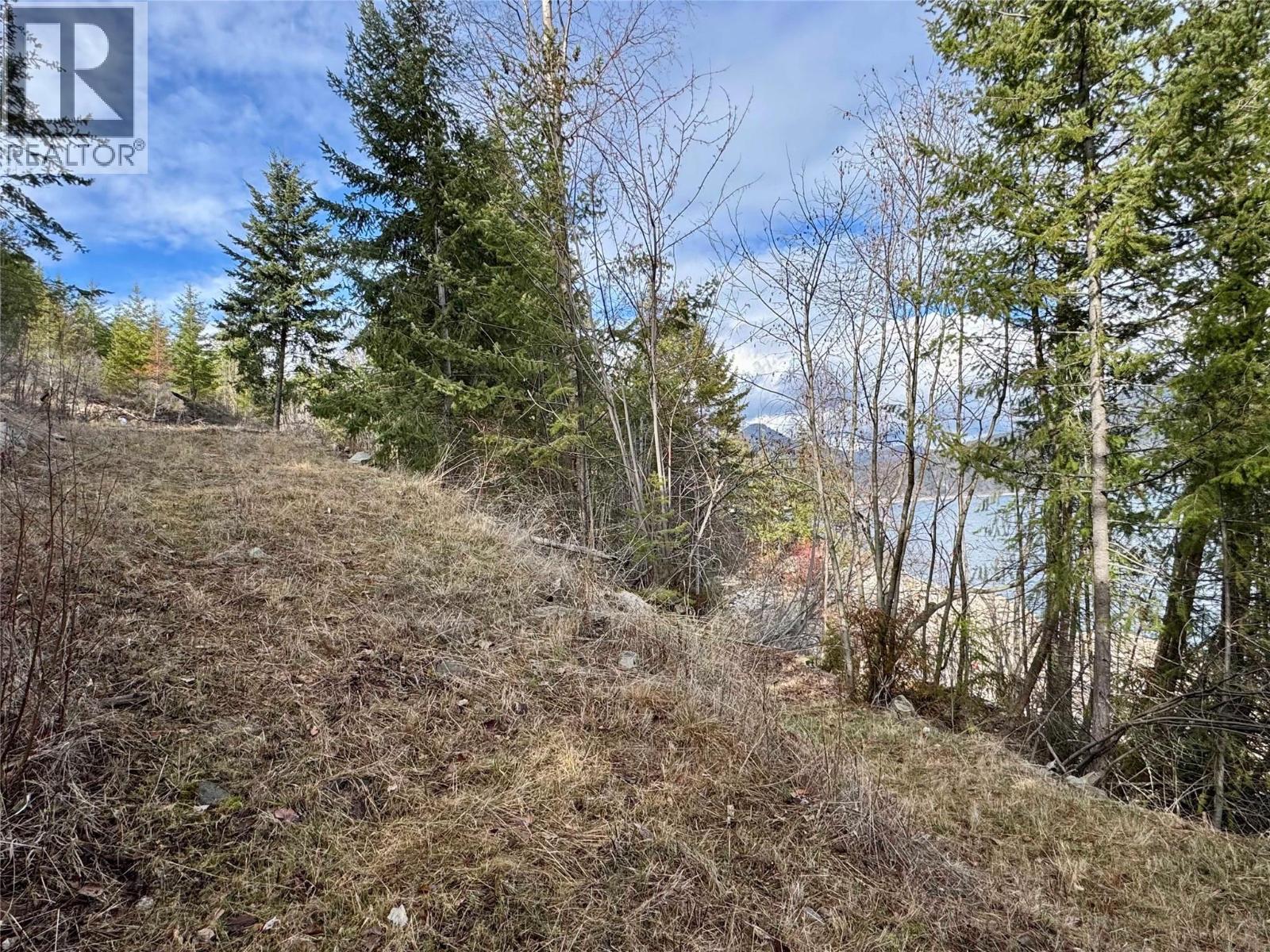 Lot 16 Osprey Point, Lower Arrow Lake, British Columbia  V1N 3H3 - Photo 9 - 10378625