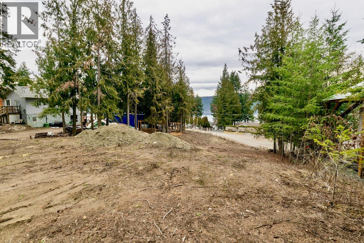 5258 Meadow Creek Crescent Lot# 20, Celista, British Columbia  V0E 1M6 - Photo 7 - 10379299