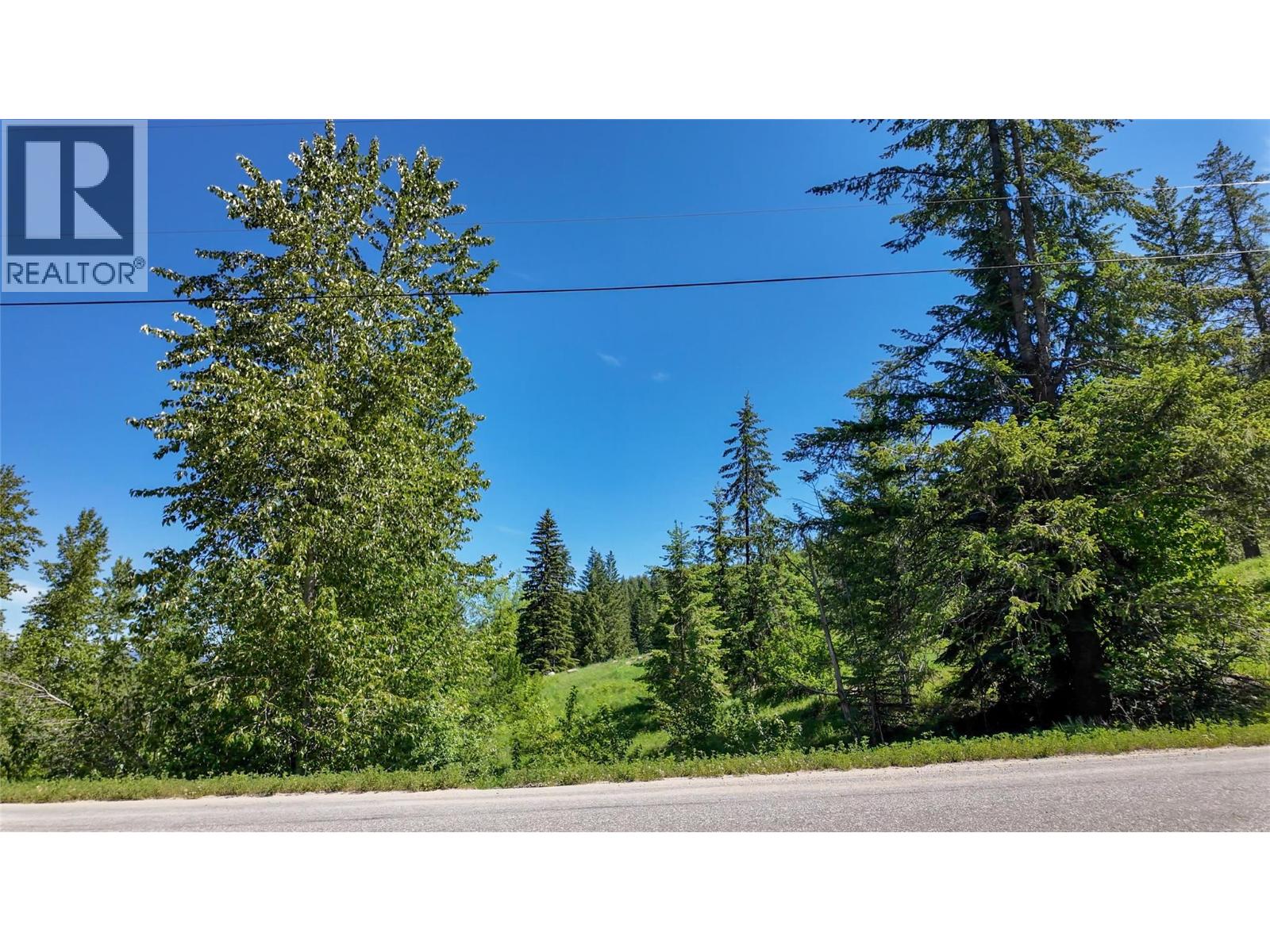 3923 Old Red Mountain Road, Rossland, British Columbia  V0G 1Y0 - Photo 15 - 10379172
