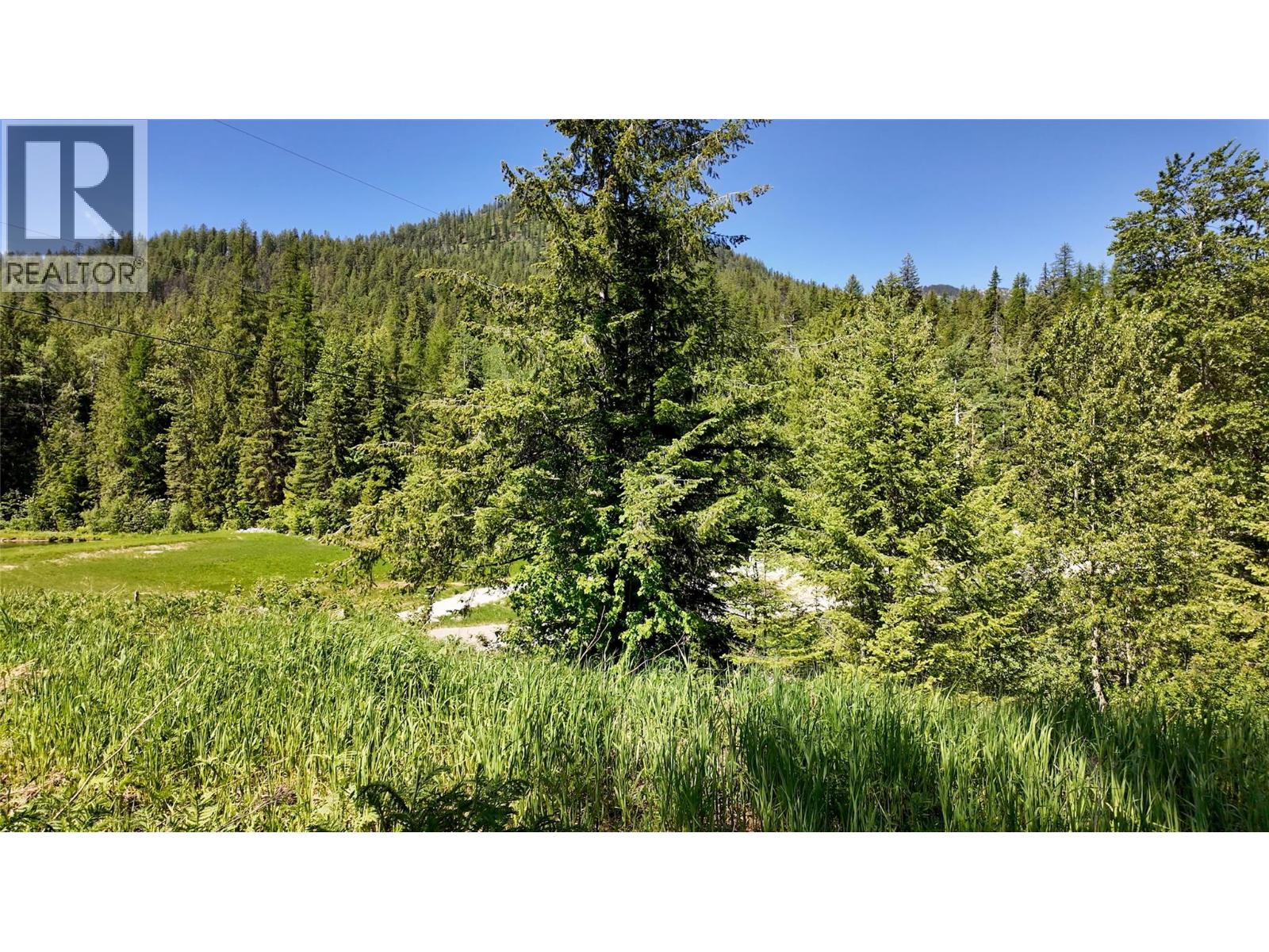 3923 Old Red Mountain Road, Rossland, British Columbia  V0G 1Y0 - Photo 16 - 10379172