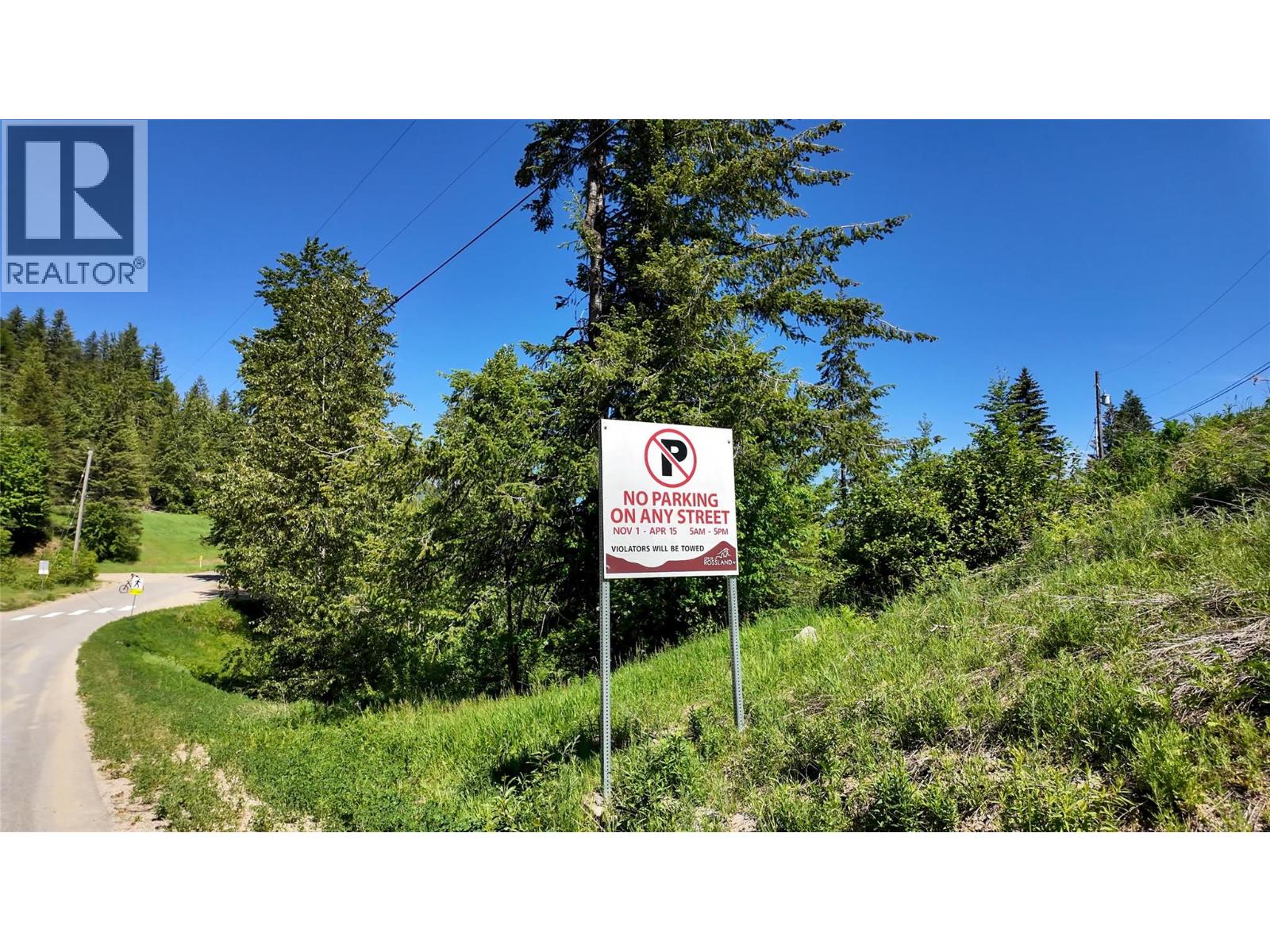 3923 Old Red Mountain Road, Rossland, British Columbia  V0G 1Y0 - Photo 5 - 10379172