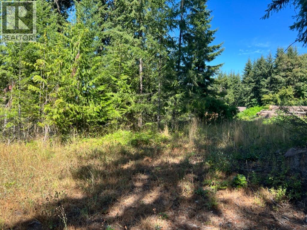 13525 Lafrance Creek Road, Boswell, British Columbia  V0B 1A0 - Photo 10 - 10378834