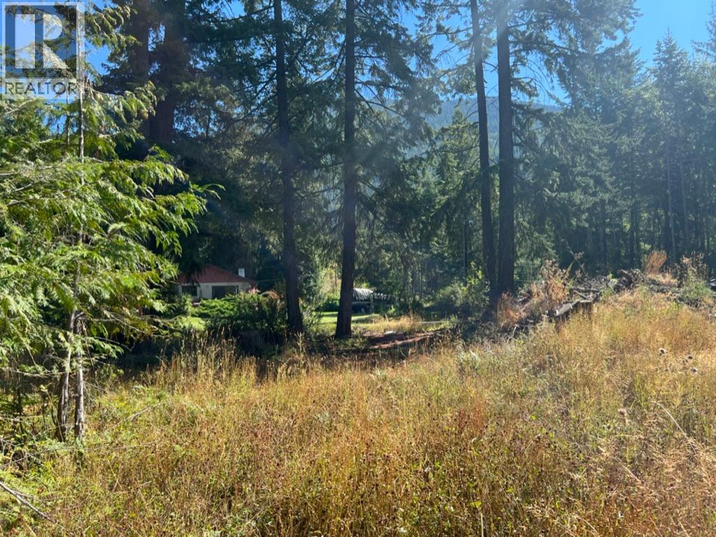 13525 Lafrance Creek Road, Boswell, British Columbia  V0B 1A0 - Photo 12 - 10378834