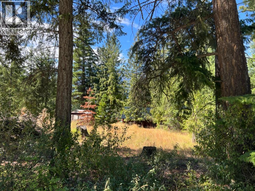 13525 Lafrance Creek Road, Boswell, British Columbia  V0B 1A0 - Photo 13 - 10378834