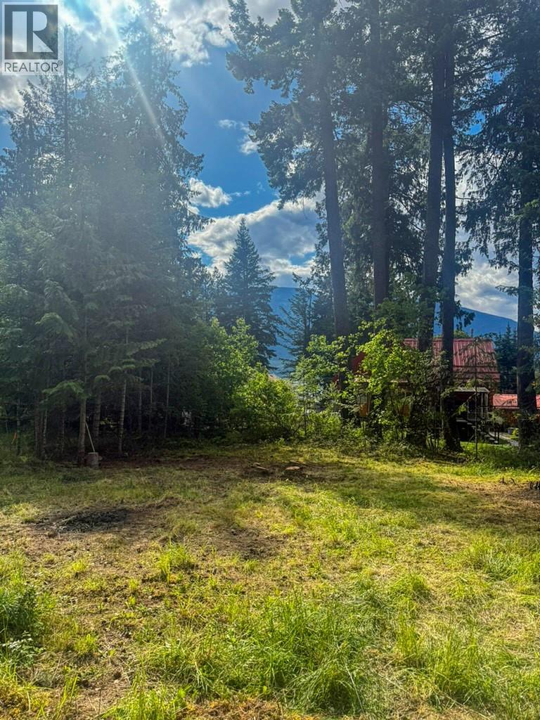 13525 Lafrance Creek Road, Boswell, British Columbia  V0B 1A0 - Photo 14 - 10378834