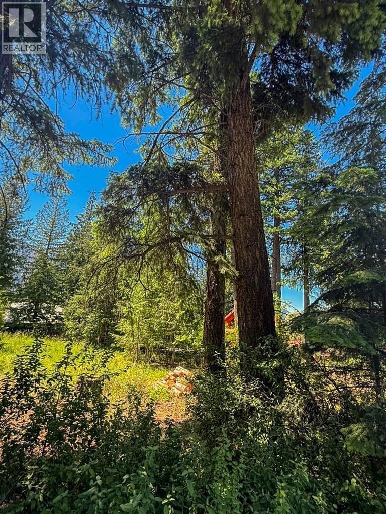 13525 Lafrance Creek Road, Boswell, British Columbia  V0B 1A0 - Photo 15 - 10378834