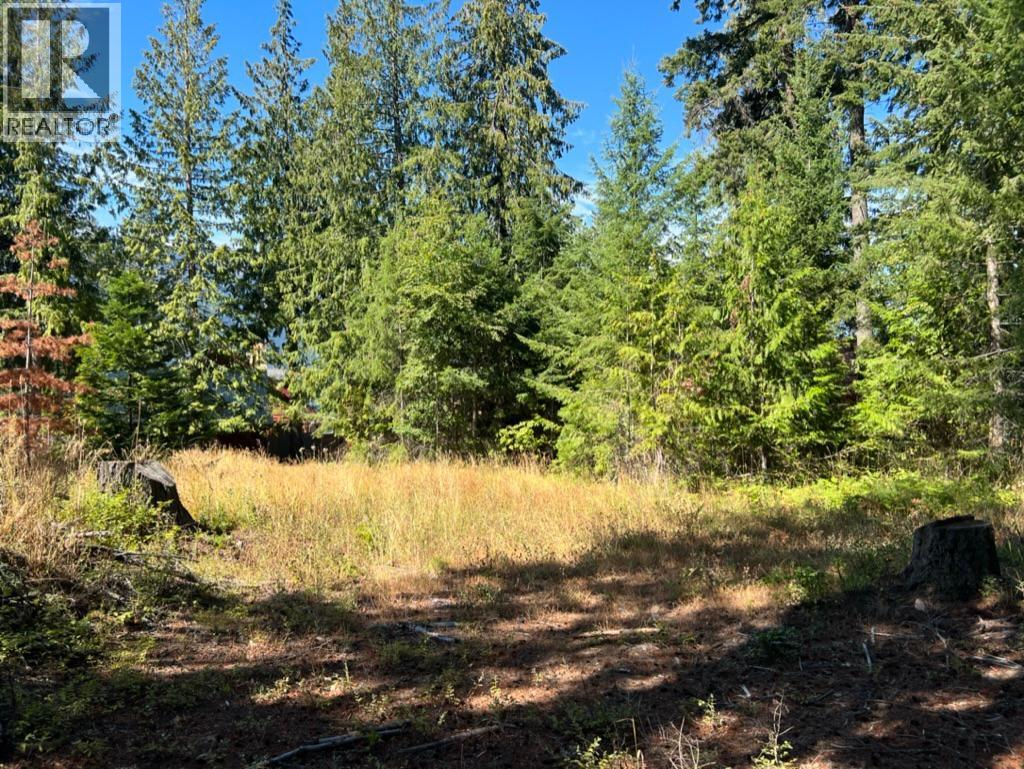 13525 Lafrance Creek Road, Boswell, British Columbia  V0B 1A0 - Photo 2 - 10378834