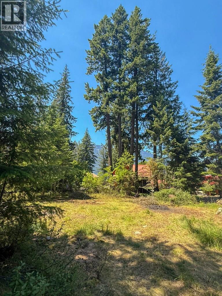 13525 Lafrance Creek Road, Boswell, British Columbia  V0B 1A0 - Photo 3 - 10378834