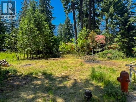 13525 Lafrance Creek Road, Boswell, British Columbia  V0B 1A0 - Photo 5 - 10378834