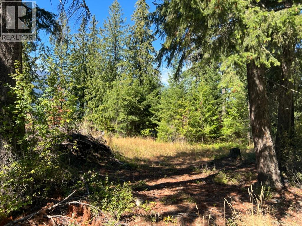13525 Lafrance Creek Road, Boswell, British Columbia  V0B 1A0 - Photo 7 - 10378834