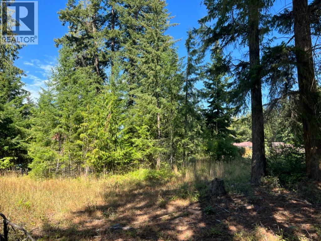 13525 Lafrance Creek Road, Boswell, British Columbia  V0B 1A0 - Photo 8 - 10378834