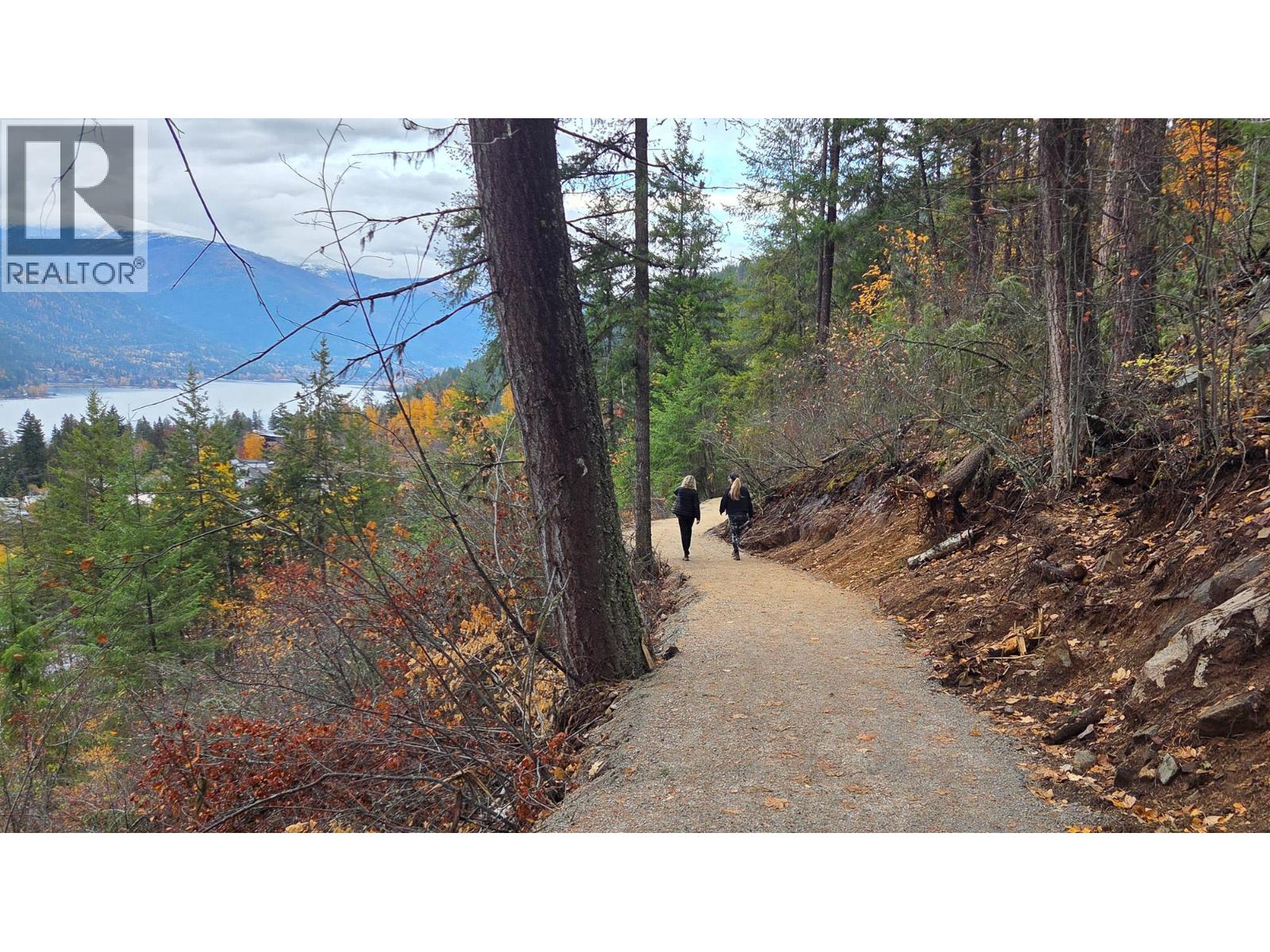 Lot 7 Trevor Street, Nelson, British Columbia  V1L 6C5 - Photo 18 - 10379248