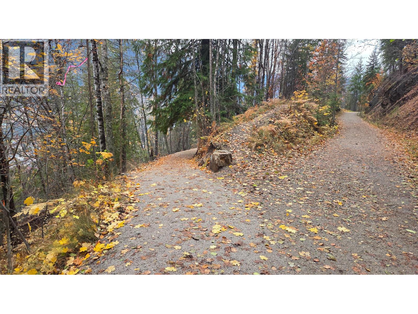 Lot 3 Trevor Street, Nelson, British Columbia  V1L 6C5 - Photo 20 - 10379243