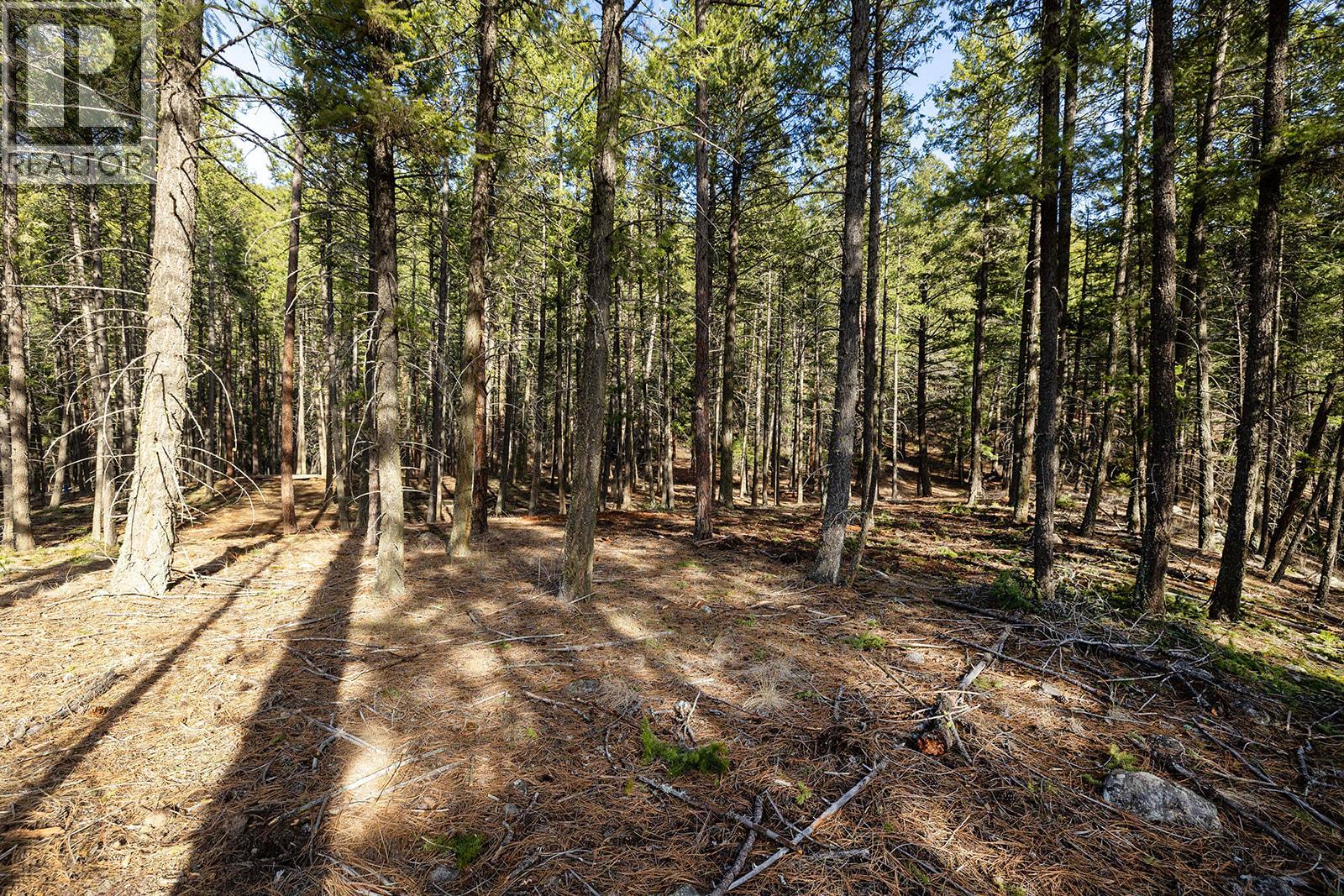 Lot A Trepanier Road, Peachland, British Columbia  V0H 1X3 - Photo 19 - 10379636