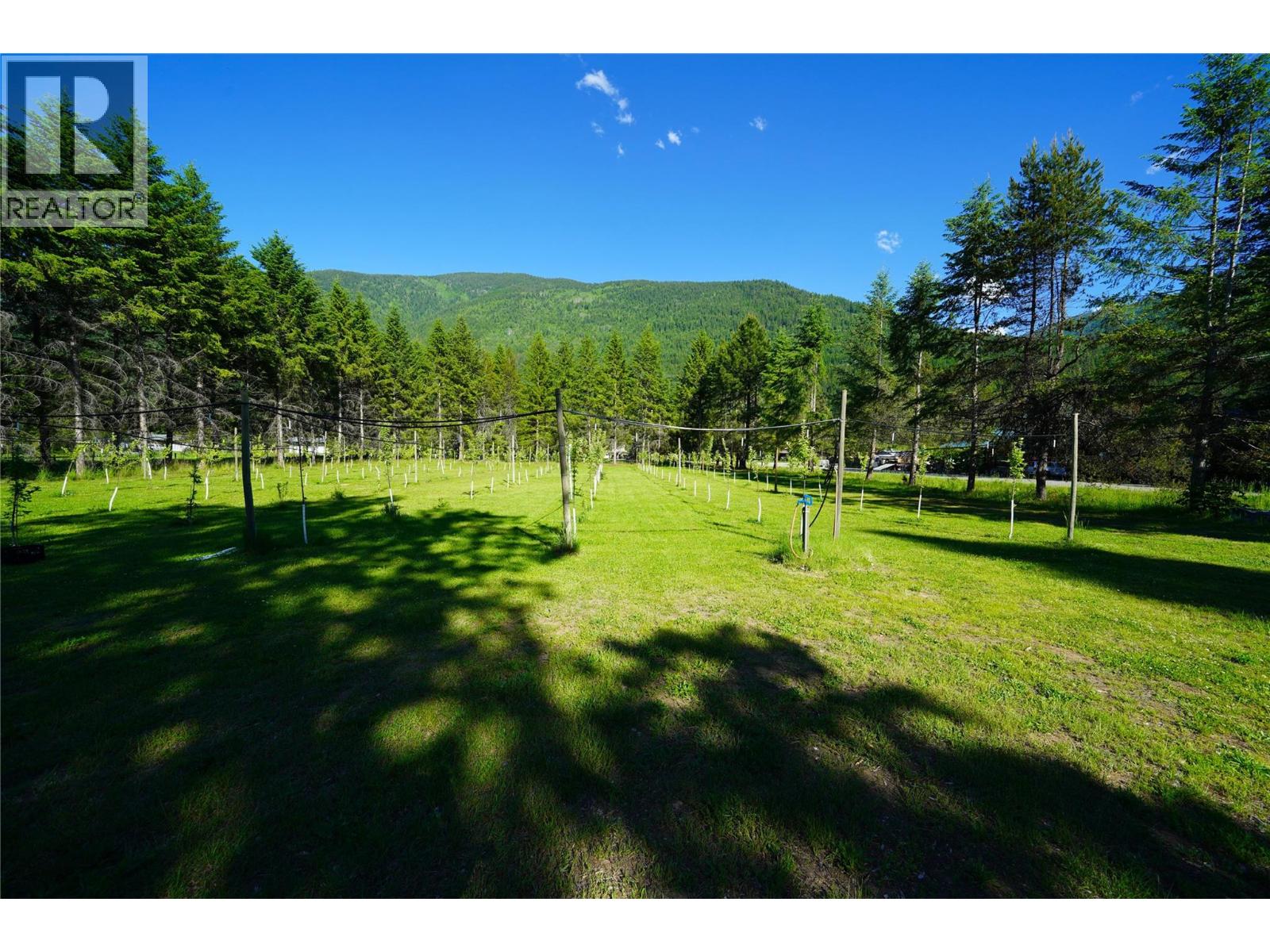 1062 Scamp Road, Castlegar, British Columbia  V1N 4R3 - Photo 15 - 10379543