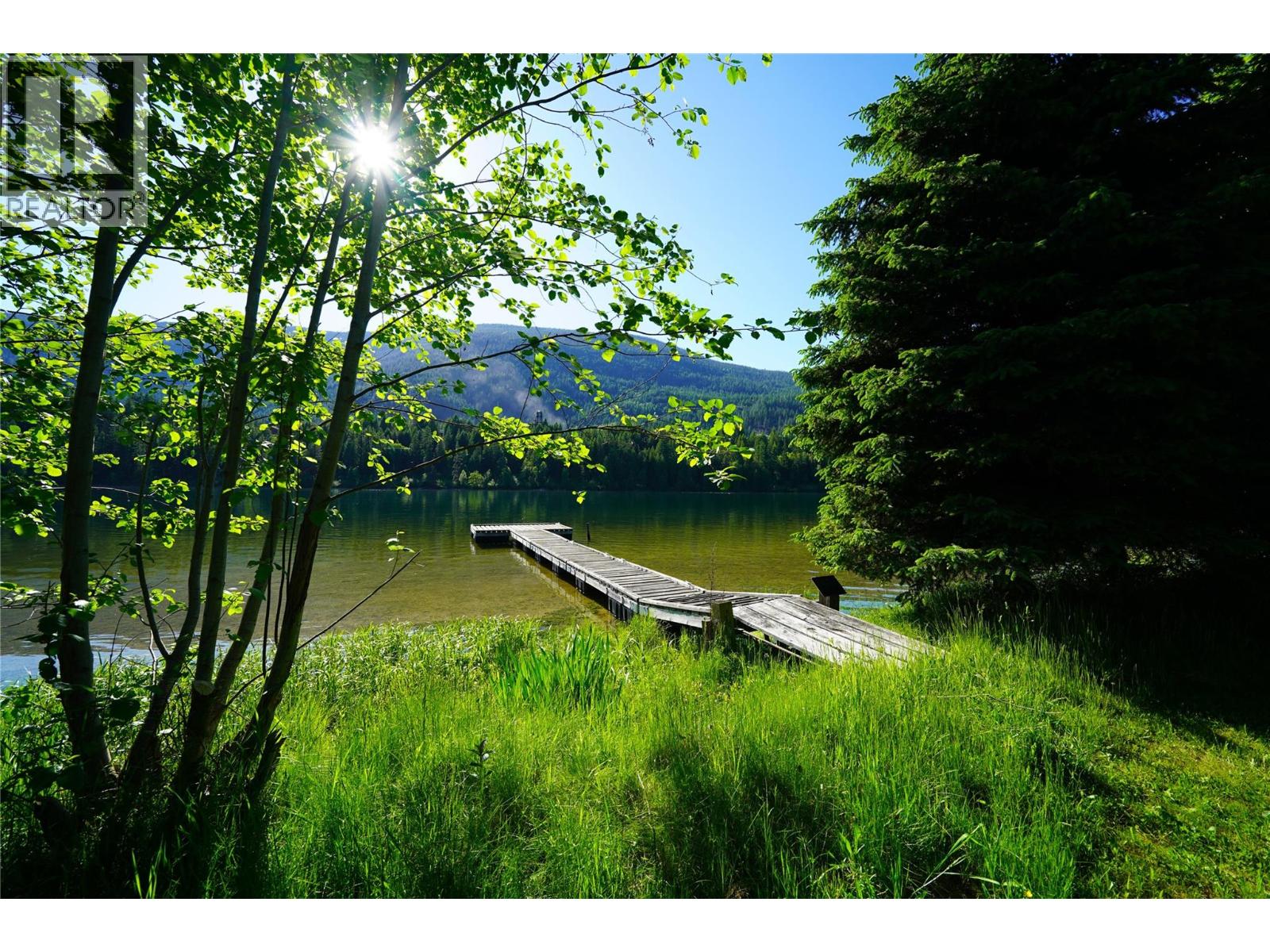 1062 Scamp Road, Castlegar, British Columbia  V1N 4R3 - Photo 38 - 10379543