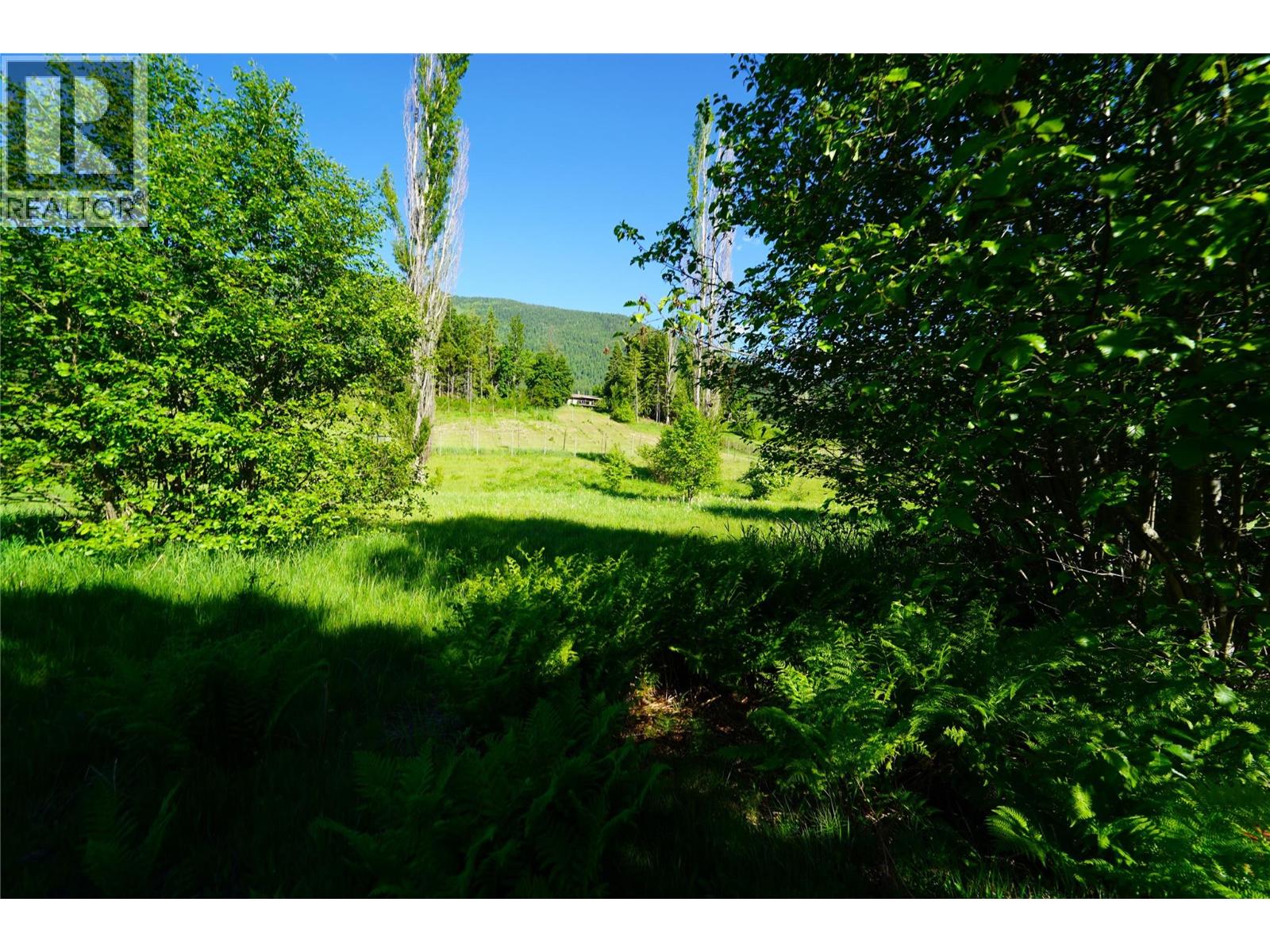 1062 Scamp Road, Castlegar, British Columbia  V1N 4R3 - Photo 39 - 10379543