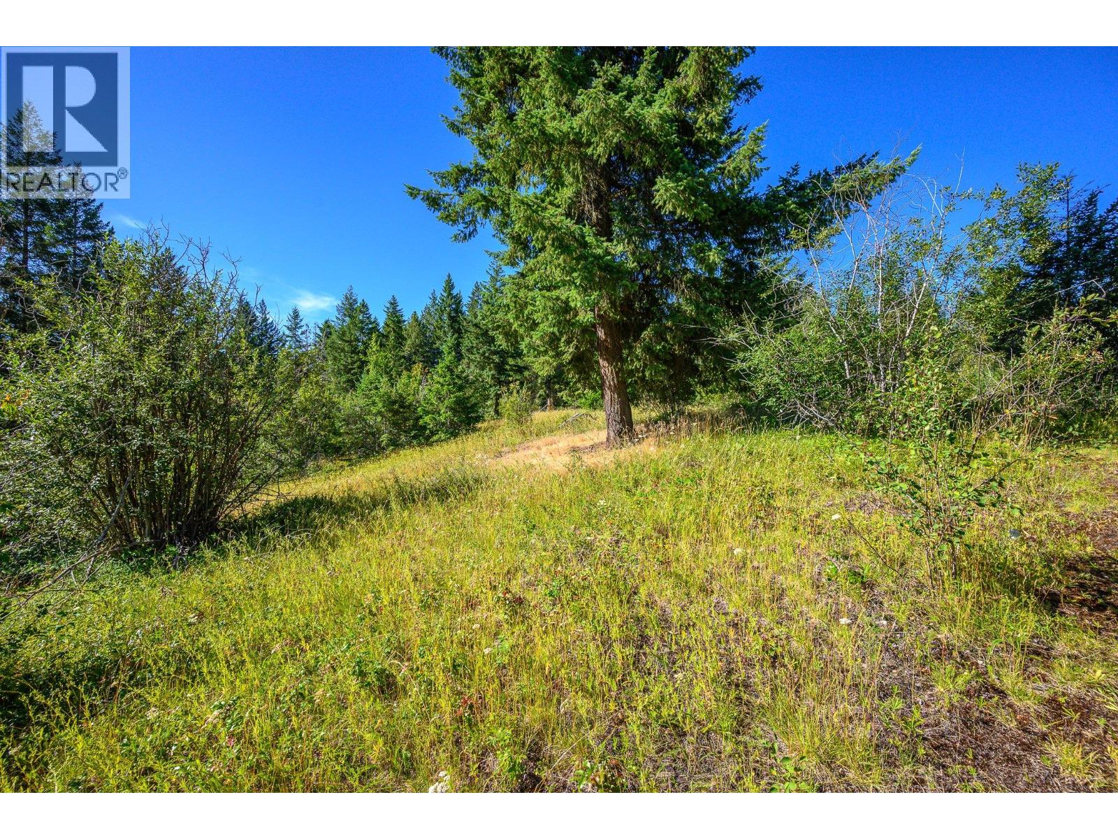 136 97b Highway, Enderby, British Columbia  V4Y 4G7 - Photo 39 - 10379194