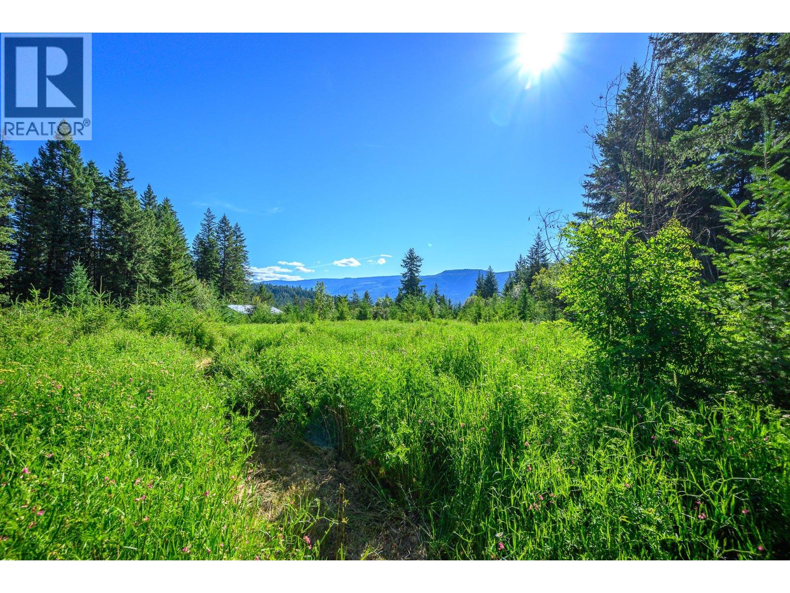 136 97b Highway, Enderby, British Columbia  V4Y 4G7 - Photo 41 - 10379194