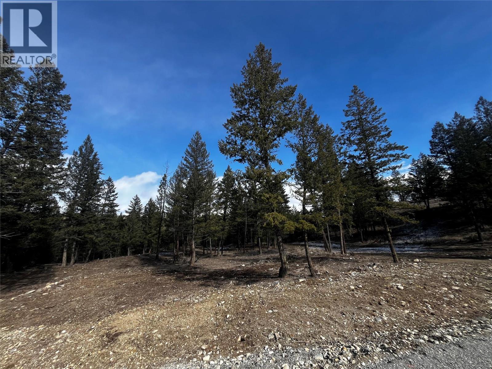 Proposed Lot A-18 6145 Parnaby Road, Cranbrook, British Columbia  V1C 0C2 - Photo 2 - 10379317