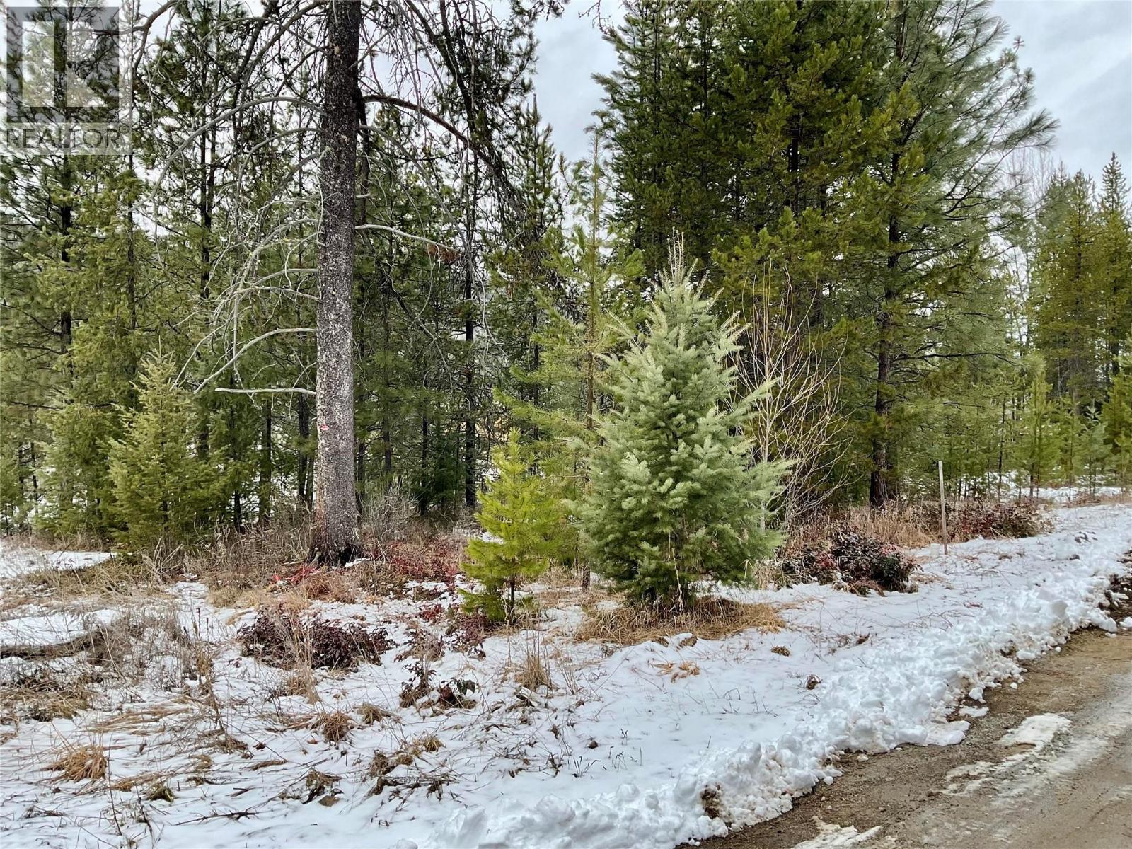451 Ponderosa Lane, Greenwood, British Columbia  V0H 1J0 - Photo 4 - 10379708