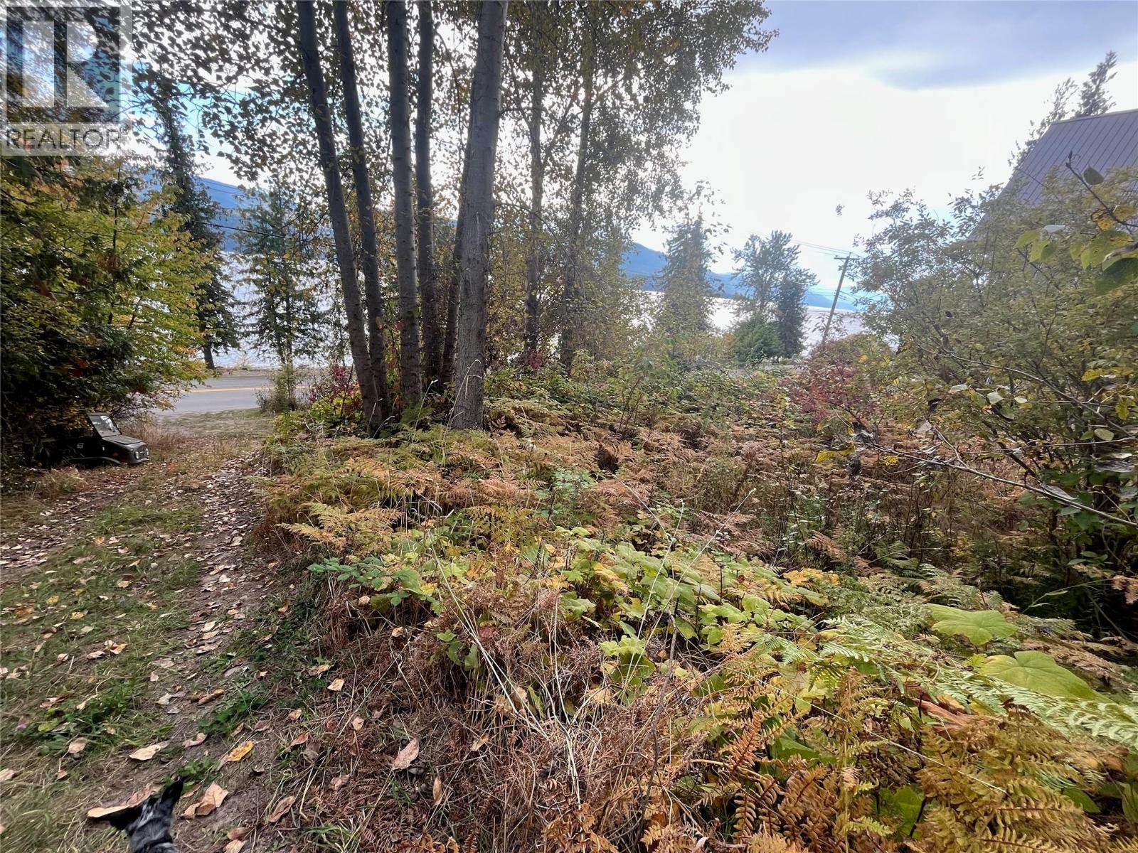 Squilax Anglemont Road Lot# 4, Anglemont, British Columbia  V0E 1M8 - Photo 2 - 10379413