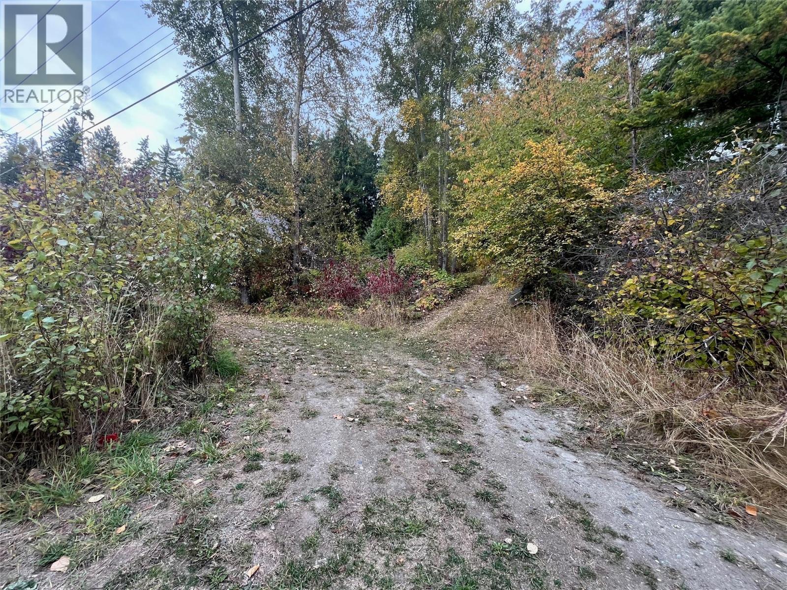 Squilax Anglemont Road Lot# 4, Anglemont, British Columbia  V0E 1M8 - Photo 4 - 10379413